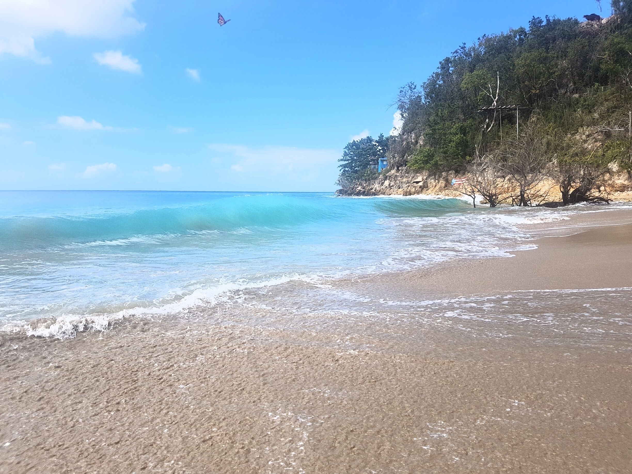 Another nice beach in Puerto Rico,  i  snap this photo when the butterfly fly by. 😊