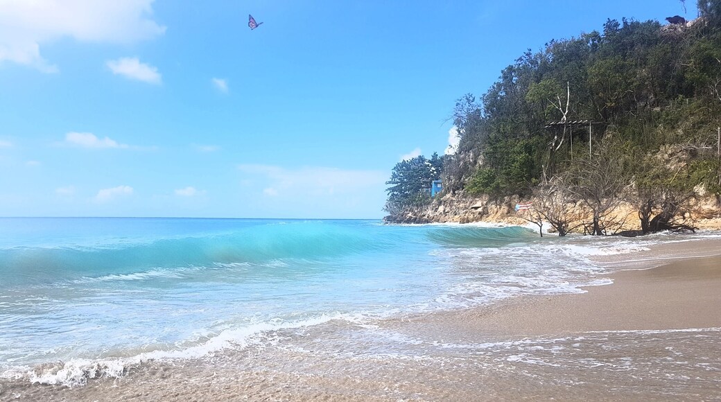 Another nice beach in Puerto Rico, i snap this photo when the butterfly fly by. 😊