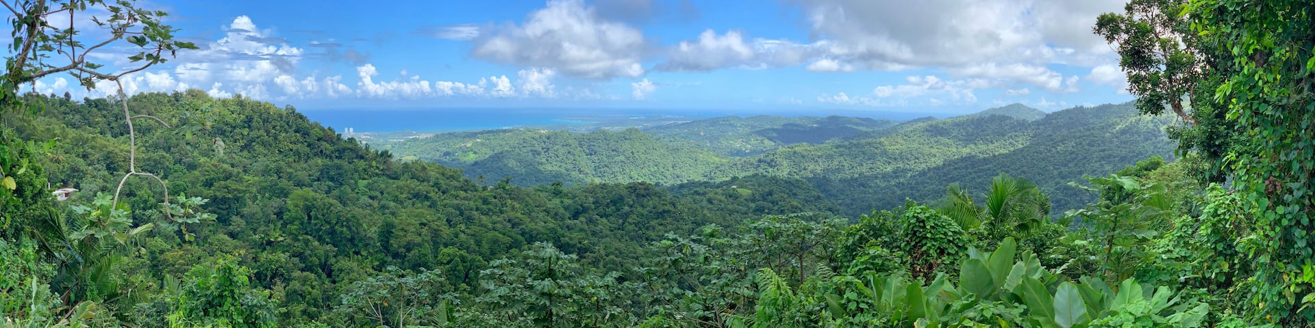 Panorama view overlooking El Yunque Rainforest on the island of Puerto Rico, the only tropical rain forest in the United States National Forest System.