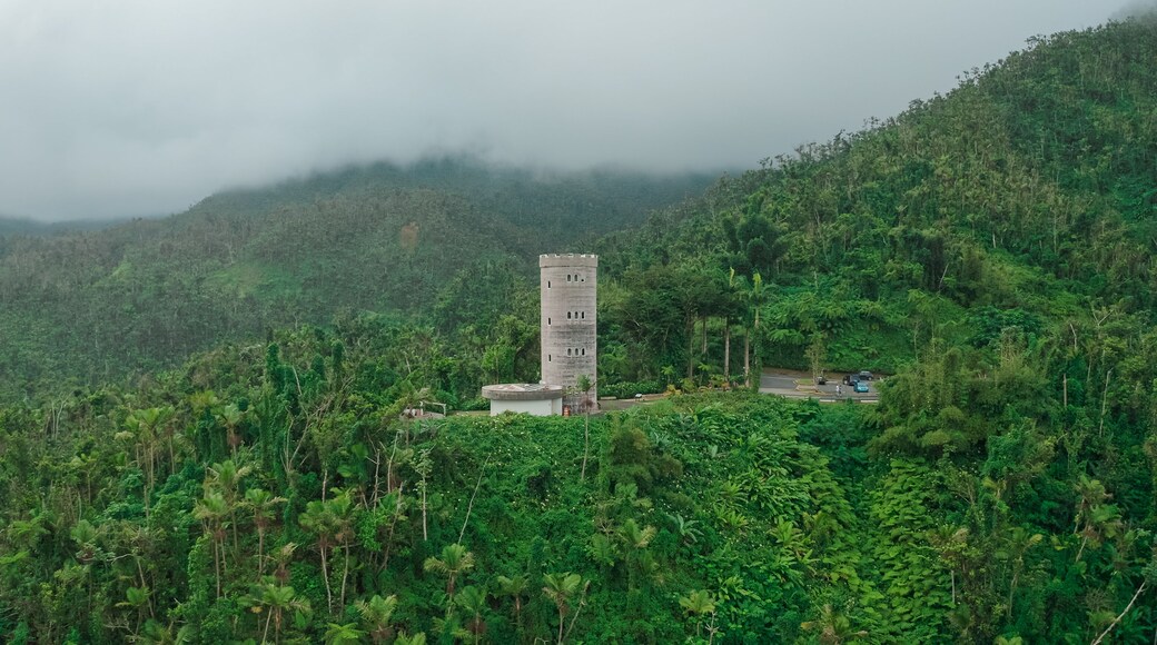 Yokahu Tower at El Yunque National Forest in Puerto Rico