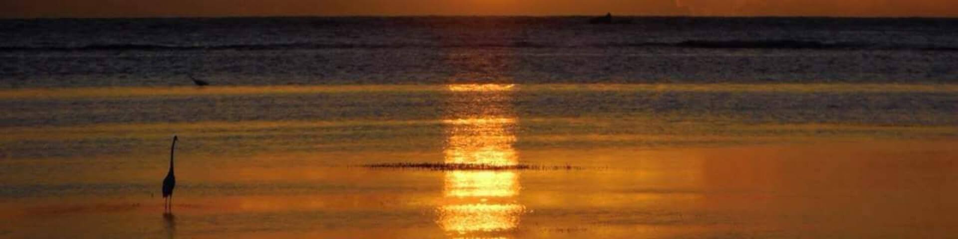 Sunrise off Coco Beach