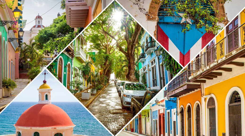 มาเมยัล