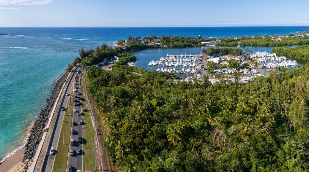 มาเมยัล