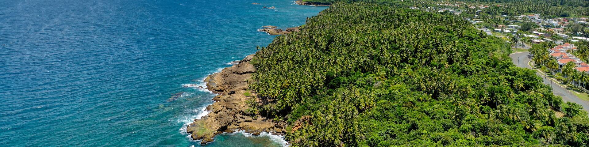 Aerial vantage of the northern coast of Cerro Gordo, Vega Alta, Puerto Rico, showcasing lush green palm forests, rugged coastline, and the vast blue caribbean ocean.