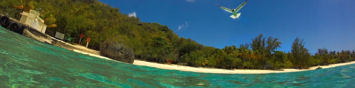 Sardinera Beach Puerto Rico