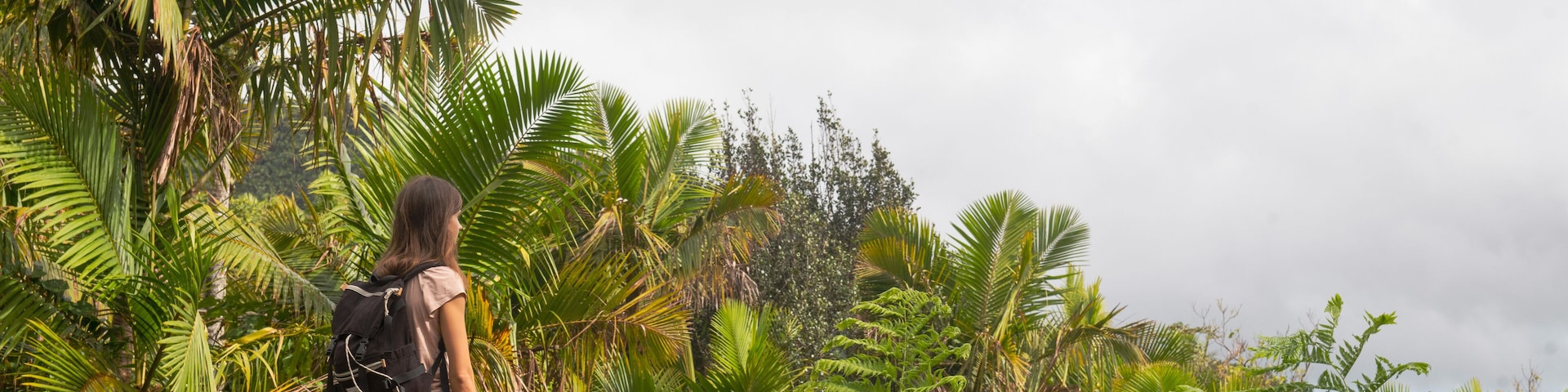 Hiker in El Yunque Rainforest, Puerto Rico