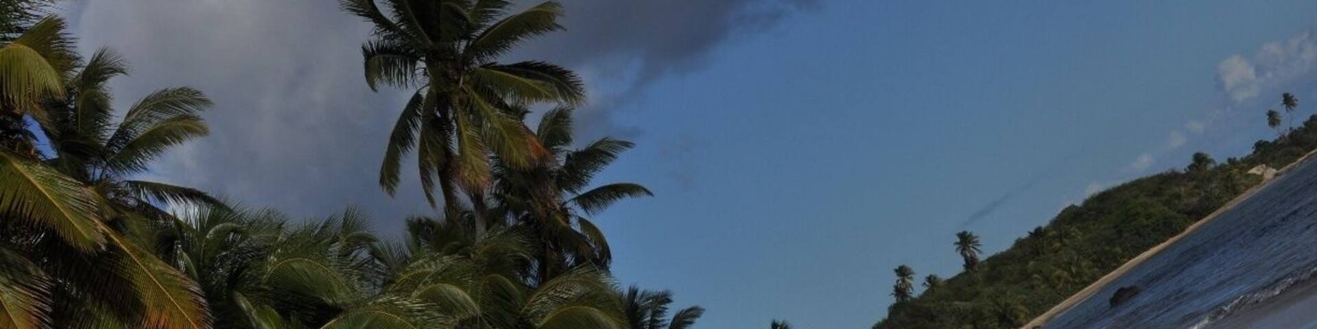 Playa Grande, also known as Long Beach, is an AMAZING expanse of undeveloped and uncrowded beach in Vieques! Get there via car or scooter, or a long walk which includes a steep hill, but its WORTH IT. When we went one evening, we were the ONLY PEOPLE on the entire beach for the entire time we were there.