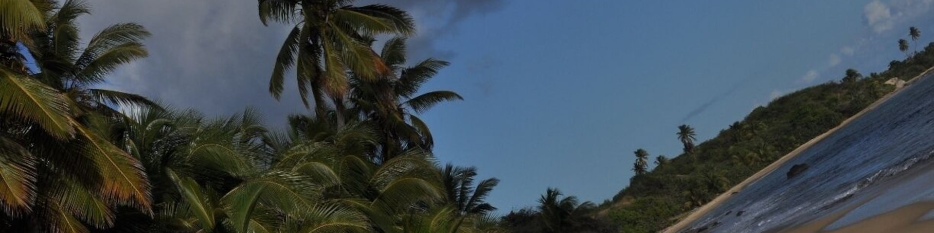Playa Grande, also known as Long Beach, is an AMAZING expanse of undeveloped and uncrowded beach in Vieques! Get there via car or scooter, or a long walk which includes a steep hill, but its WORTH IT. When we went one evening, we were the ONLY PEOPLE on the entire beach for the entire time we were there.