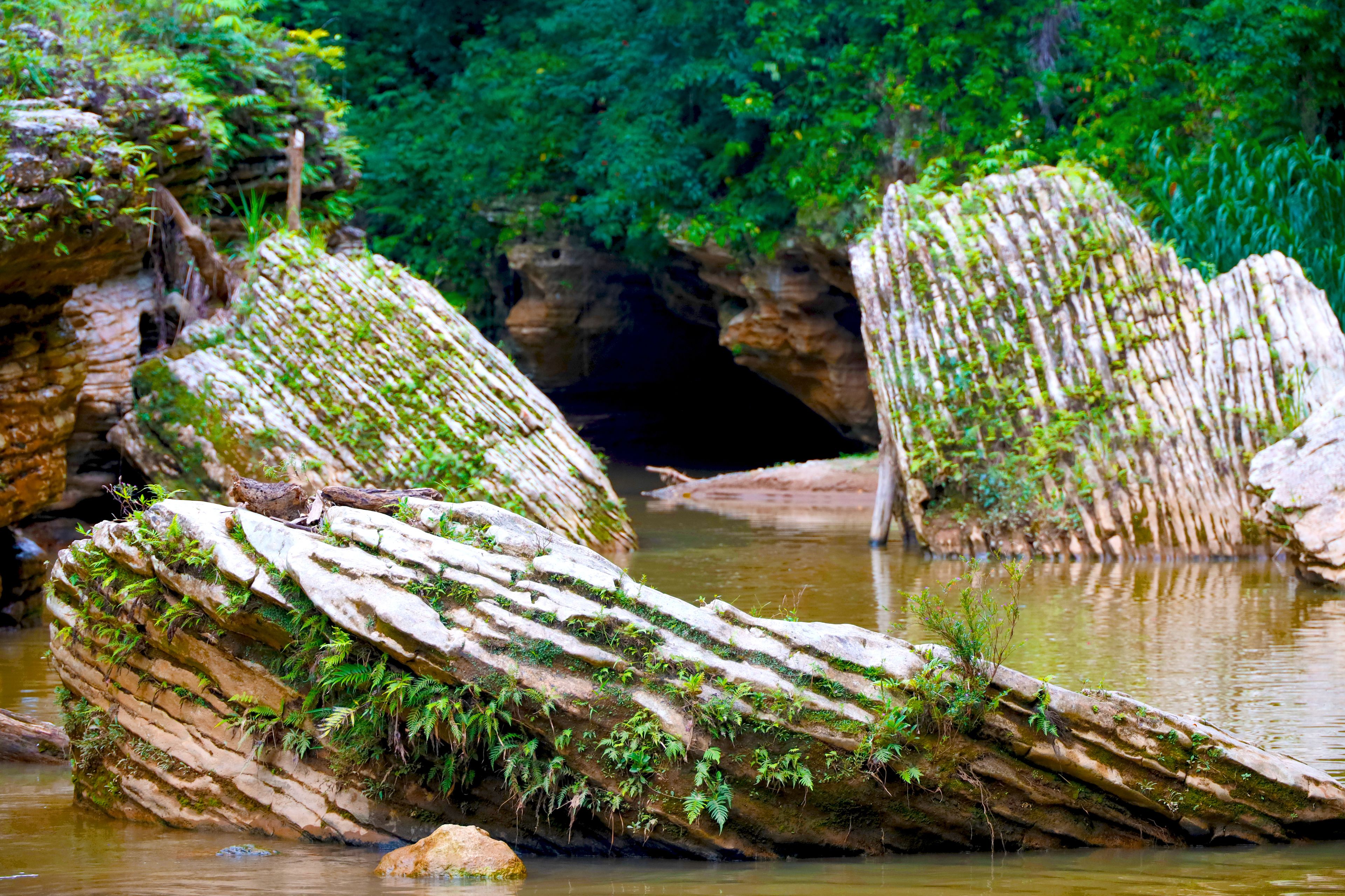Tanama River, Puerto Rico