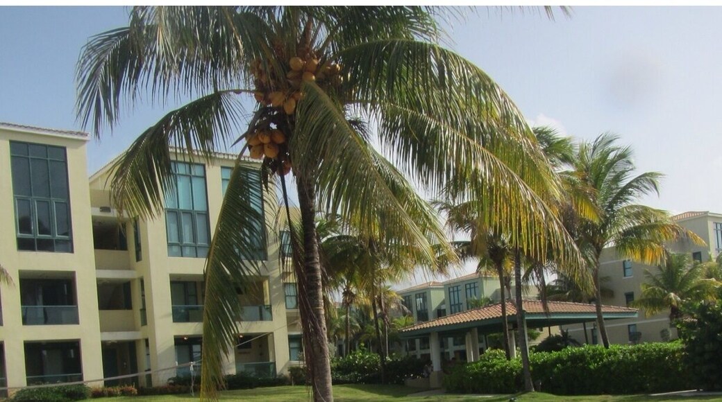 Beach Volleyball course!