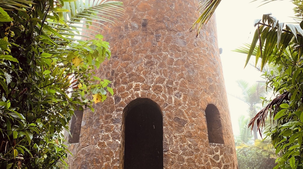 An observation tower in El Yunque Rainforest In Puerto Rico. Narrow, but well paved trail hike to get up here.