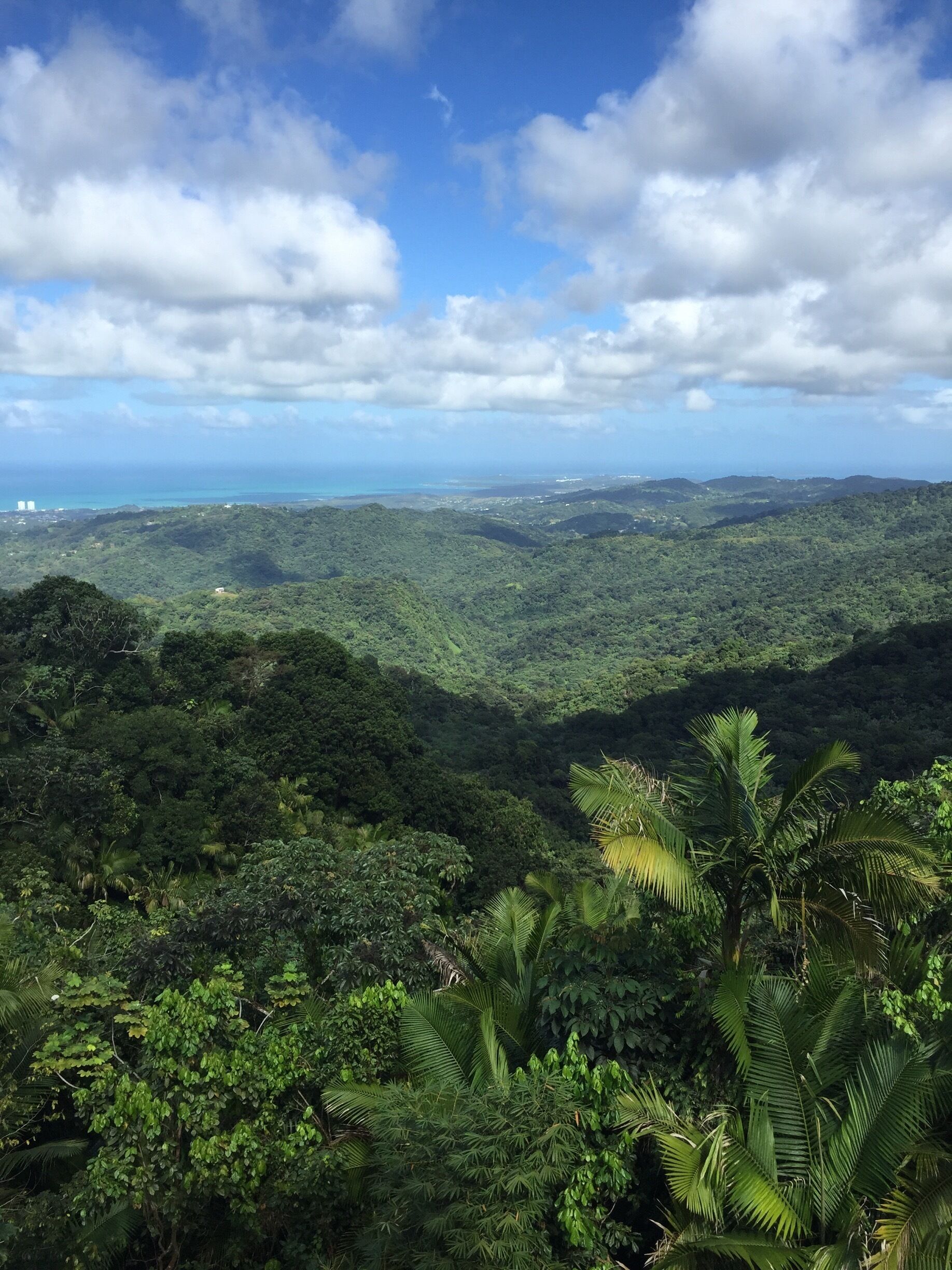 The beauty on top of the tower is indescribable #puertorico