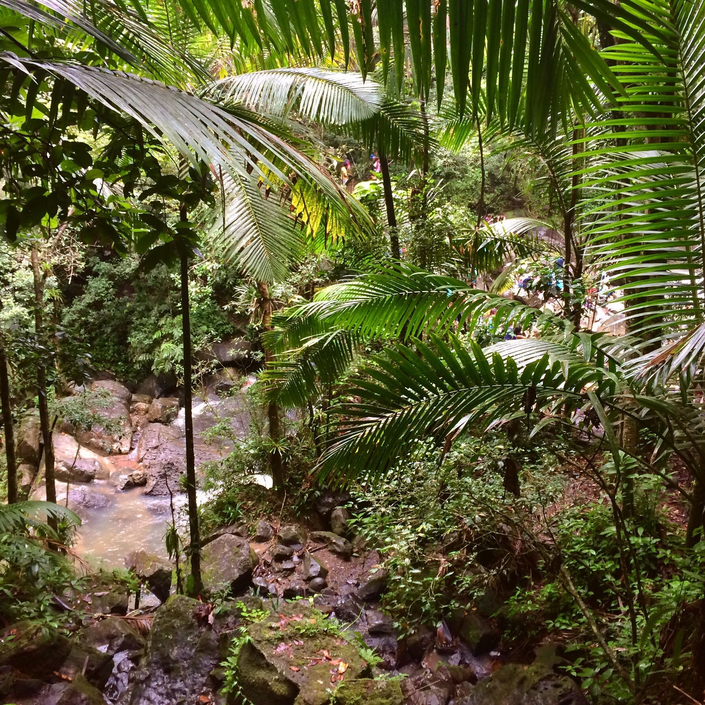 #Weekendgetaway #Roadtrip #Borinquen #BorinquenSoul #TiratePR #RuteandoMiIsla #LaMinaFalls #ElYunque #Kidsfun