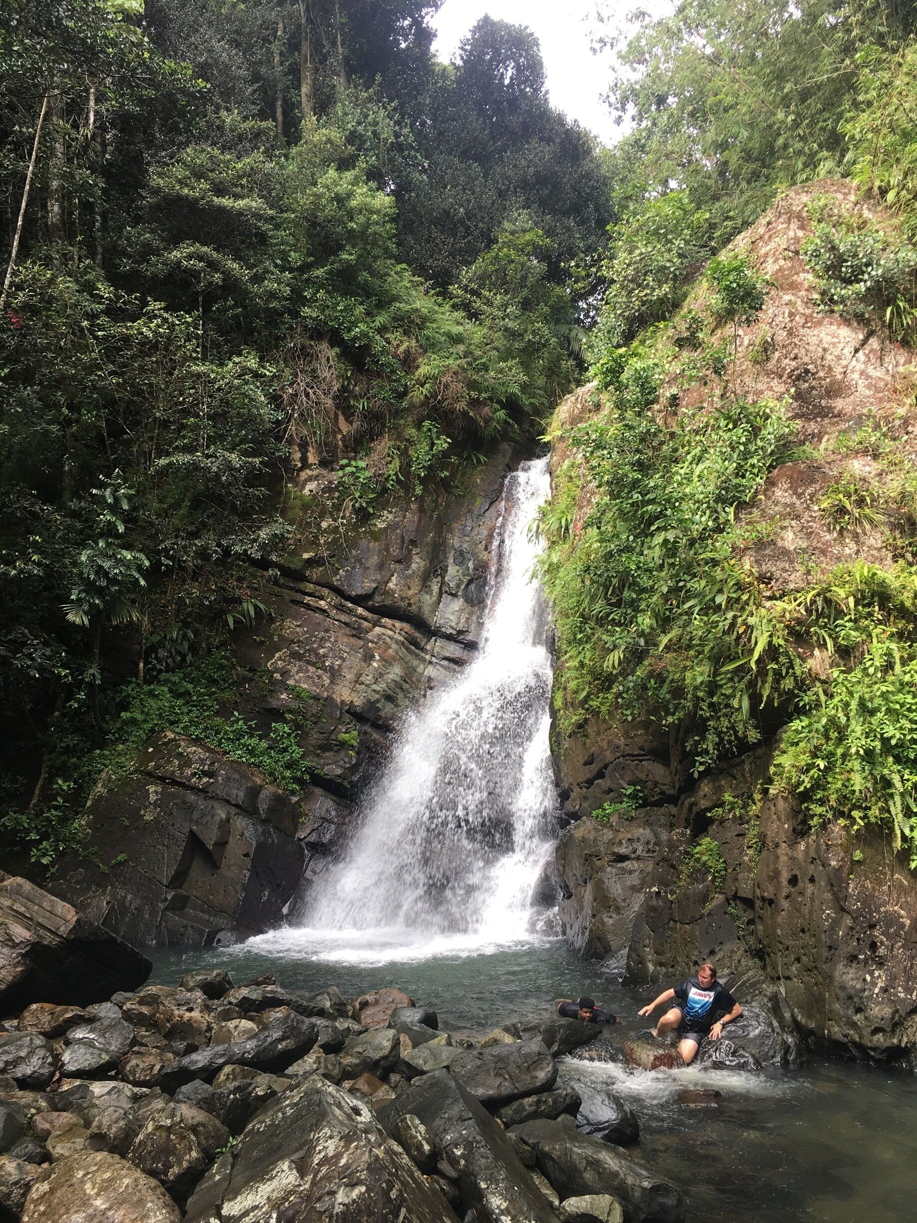 Beautiful nature in Puerto Rico 🇵🇷 
a must do and discover...
 Once in a lifetime vacation! 
