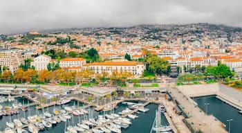 Oude stad van Funchal