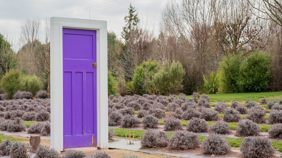 Wanaka Lavender Farm
