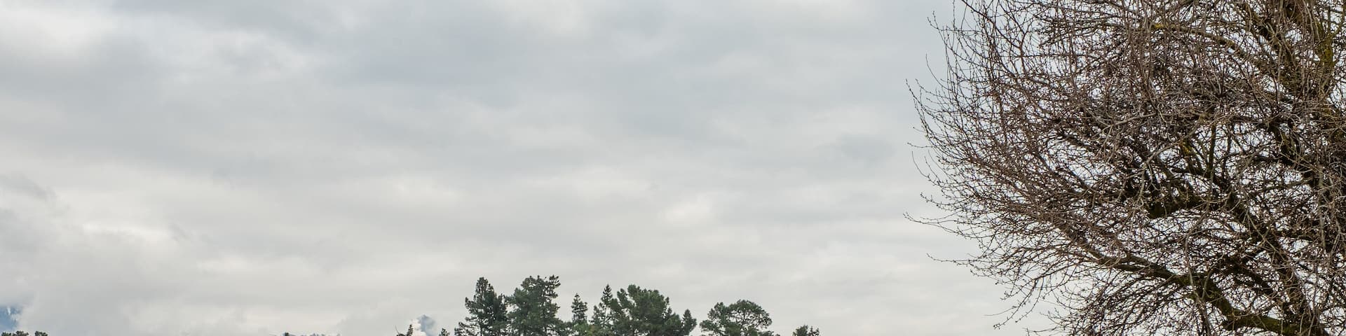 Wanaka Lavender Farm