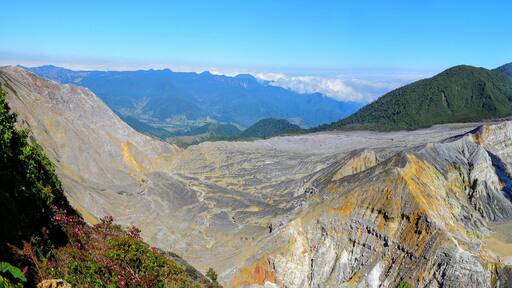 سان بيدرو دي بواس