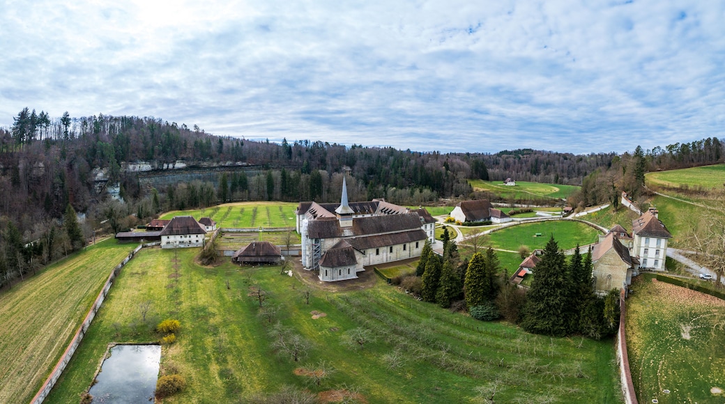 A rural landscape with a church, several houses, and a river.