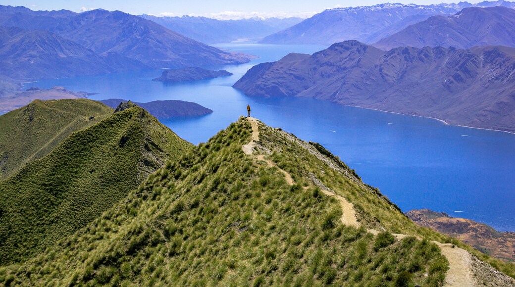 Roys Peak