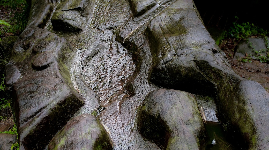 In the misty mountains for Central Laos is the ancient city of Champasak. There is an ancient road that connects this old city to Angkor Thom, home of Angkor Wat. This carving of a crocodile is shrouded in mystery with some saying that it was used for human sacrifices! #history #southeastasia #travelphotography #laos