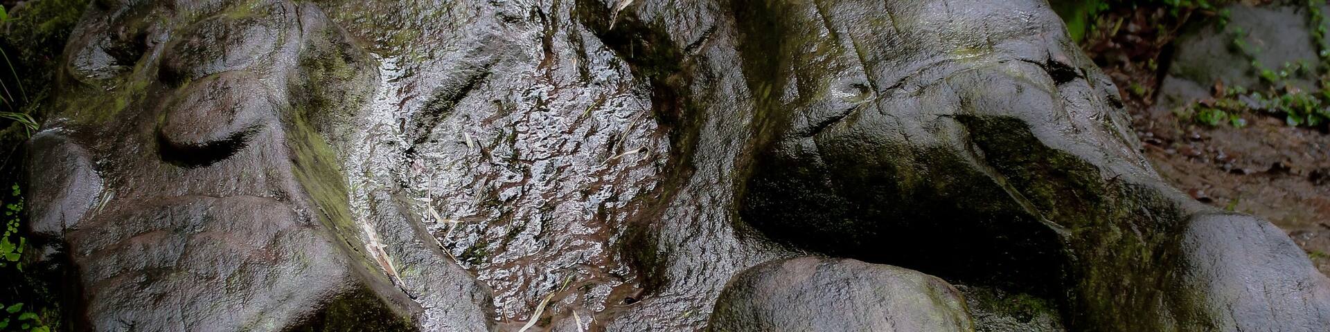 In the misty mountains for Central Laos is the ancient city of Champasak. There is an ancient road that connects this old city to Angkor Thom, home of Angkor Wat. This carving of a crocodile is shrouded in mystery with some saying that it was used for human sacrifices! #history #southeastasia #travelphotography #laos