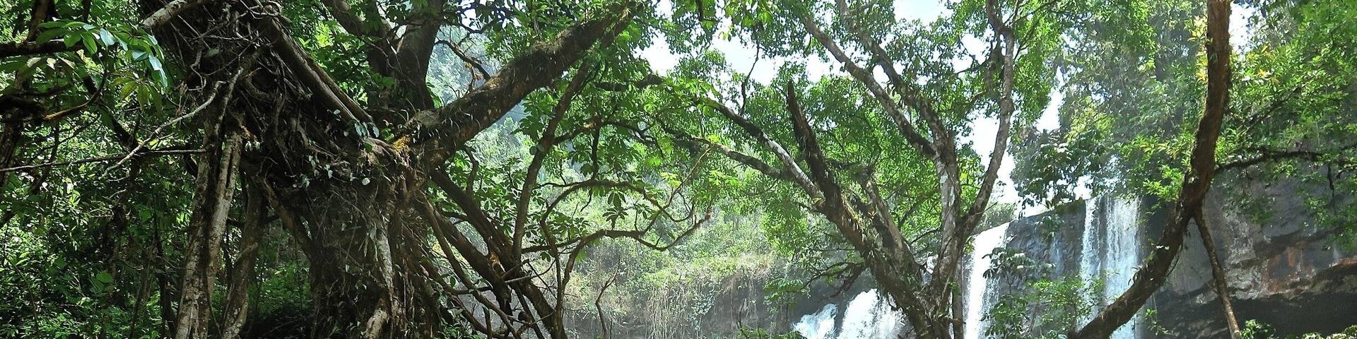 Tad Tayicsua:
This waterfall is located on the BIG loop on the Bolaven Plateau (Laos, Pakse).
I would totally recommend doing the bigger loop over the shorter. Some of the most beautiful waterfalls are in this area, and totally off the tourist path. We literally didn't see any tourist, only extremely friendly locals!
**TIP: Bring something other than flip-flops! Especially when hiking down to this waterfall. It's a gorgeous bamboo forest trek, but pretty difficult.