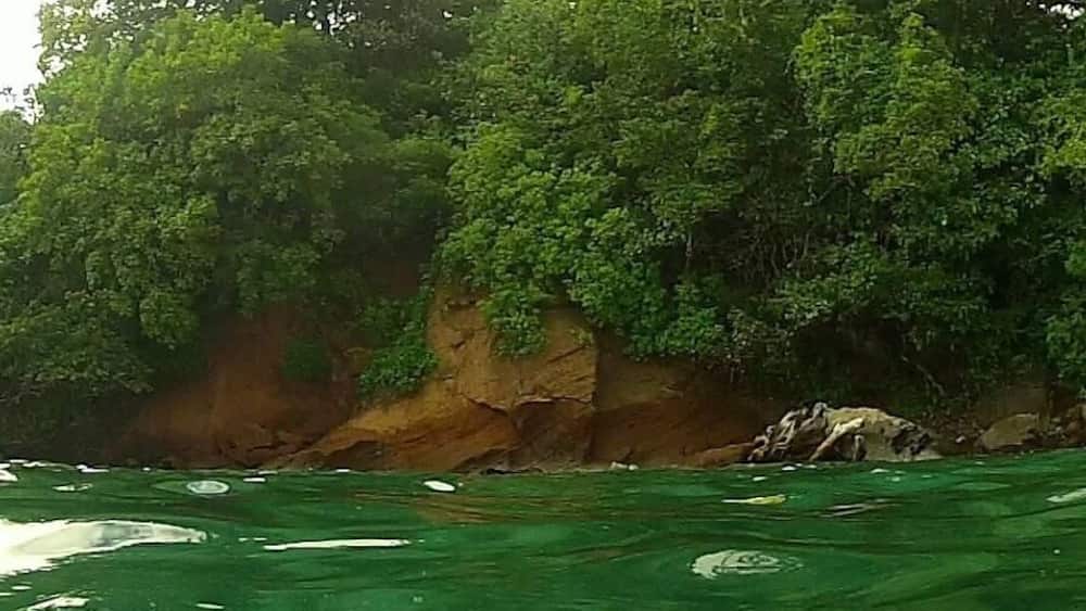 Best place in the Grenadines...Villa Beach!