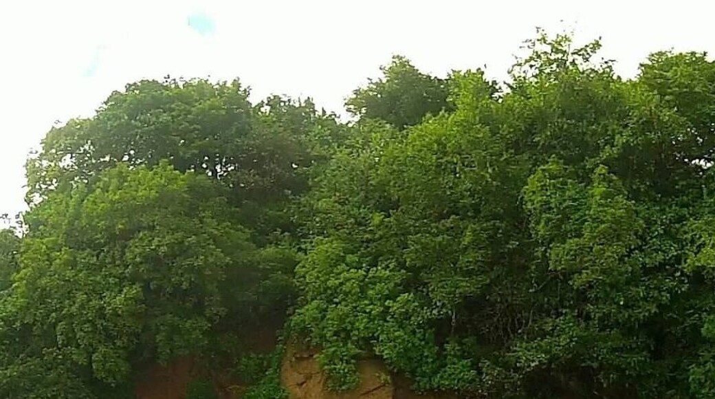 Best place in the Grenadines...Villa Beach!