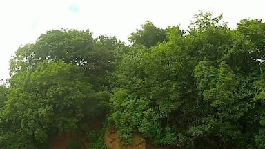 Best place in the Grenadines...Villa Beach!