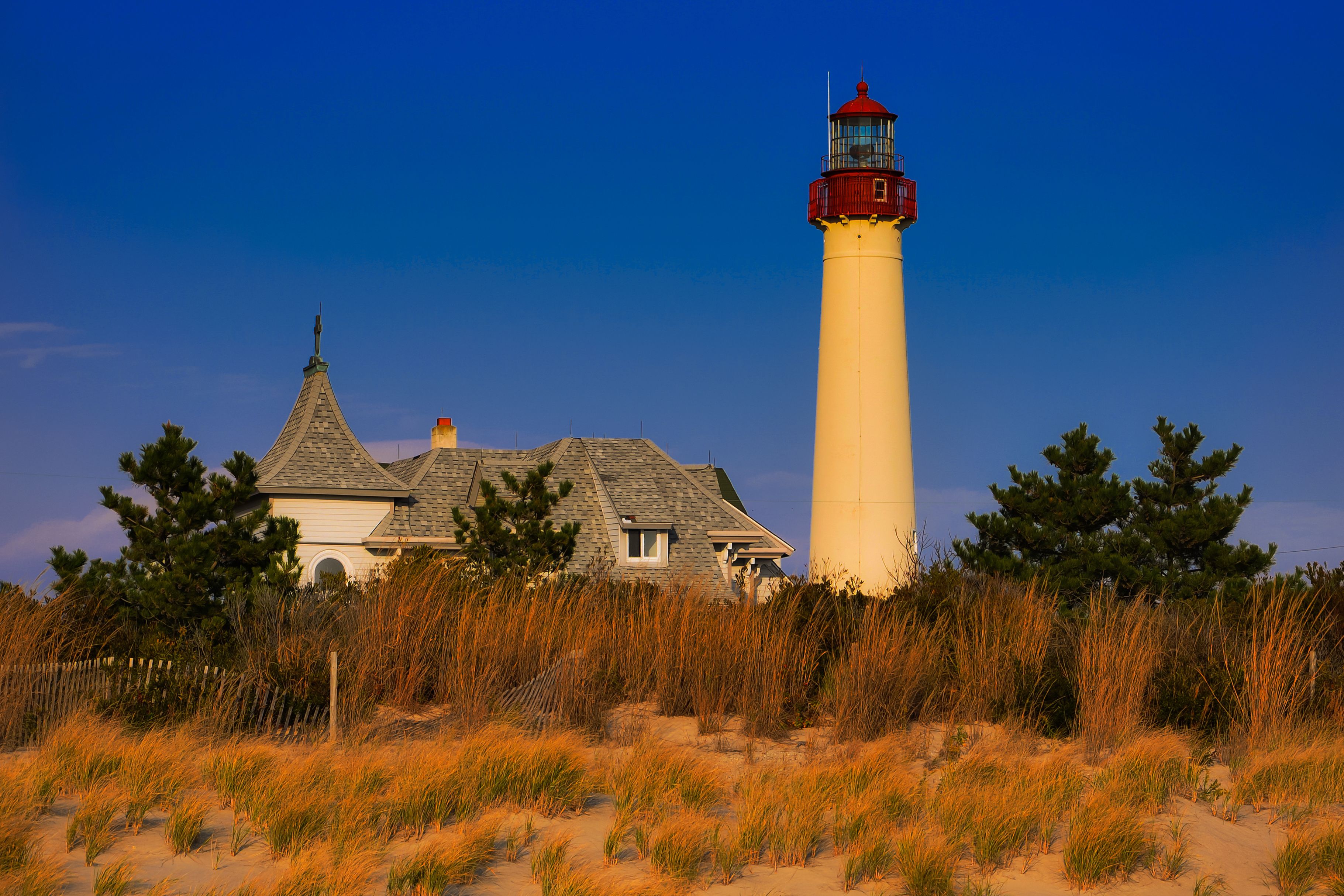Bãi biển Cape May