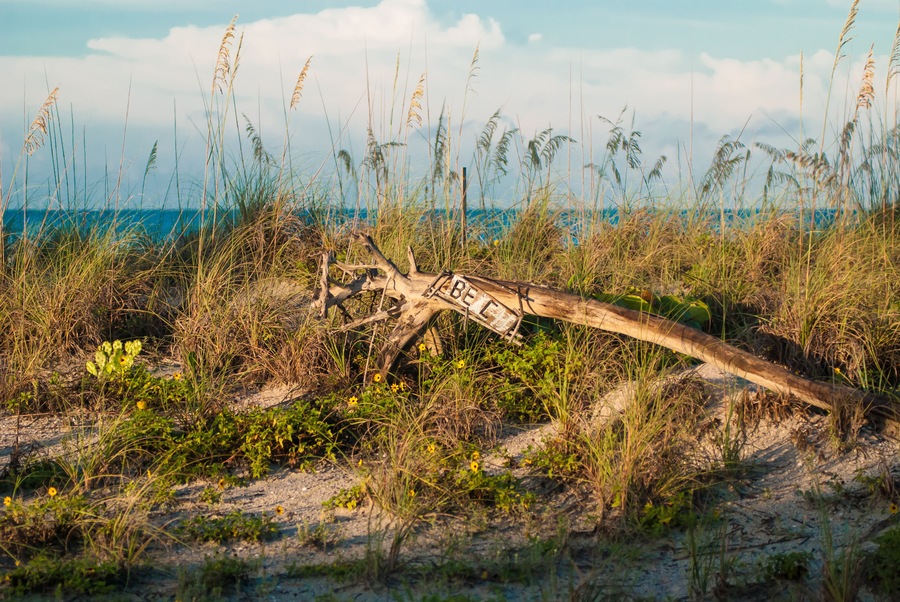 Old beach sign