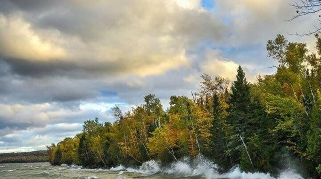 Crashing waves and falls leaves. USA