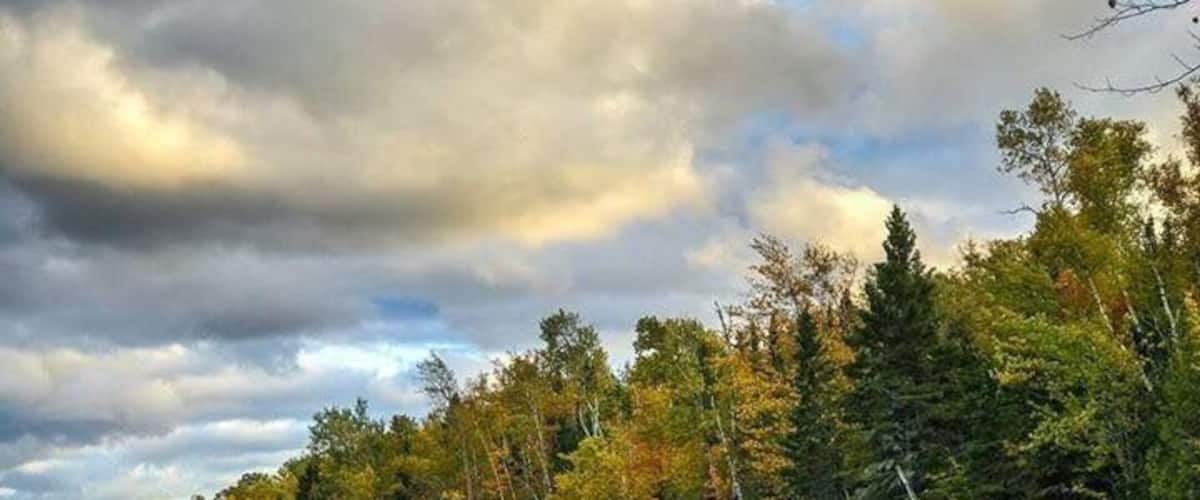 Crashing waves and falls leaves. USA