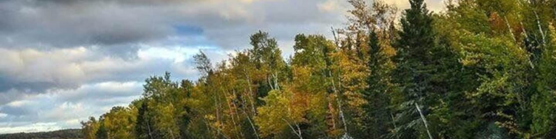 Crashing waves and falls leaves. USA