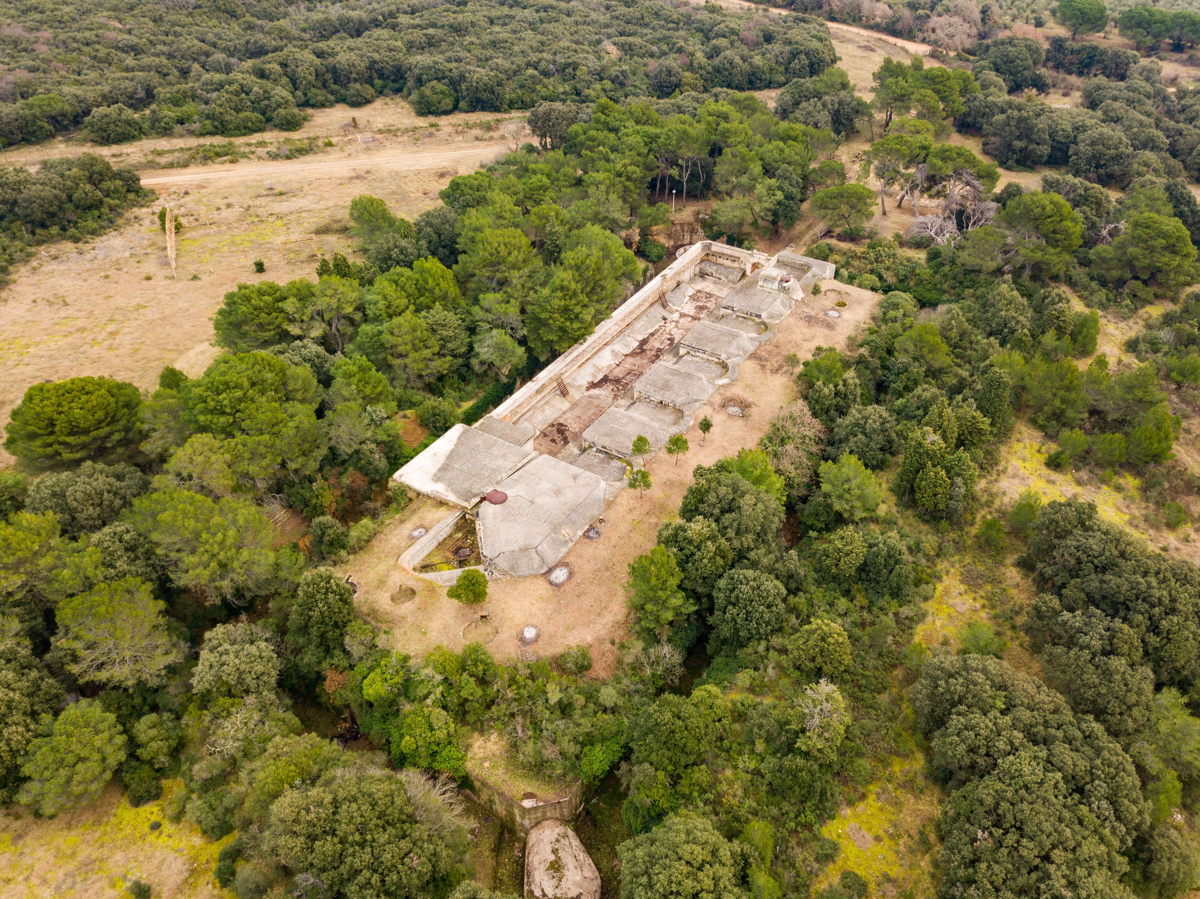 Une vue aérienne d’une ruine antique, entourée d’une forêt dense.