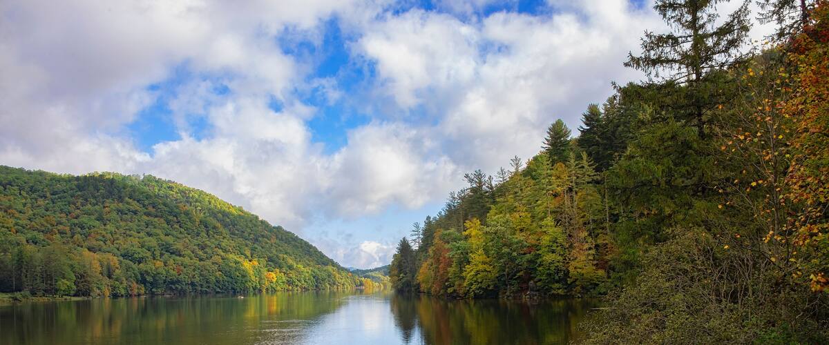 Blue Sky Over Autumn Forest on Lake Logan