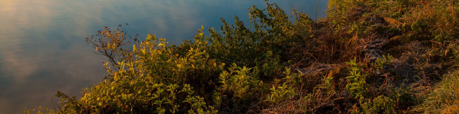 Man on wooden boardwalk pier photographing peaceful foggy lake at sunrise