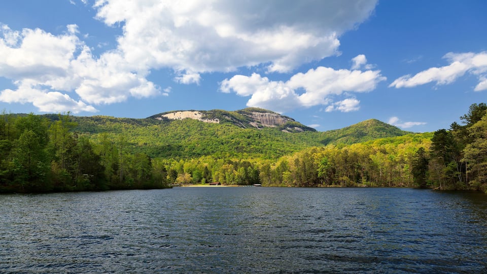 A lake surrounded by lush green forest and a mountain with a rocky outcrop.