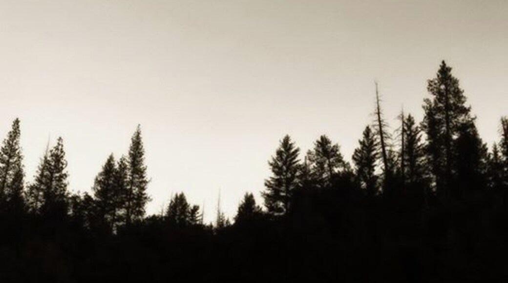 Near Lake Pillsbury, CA