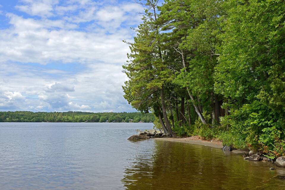 A calm lake surrounded by dense green trees and a clear sky.
