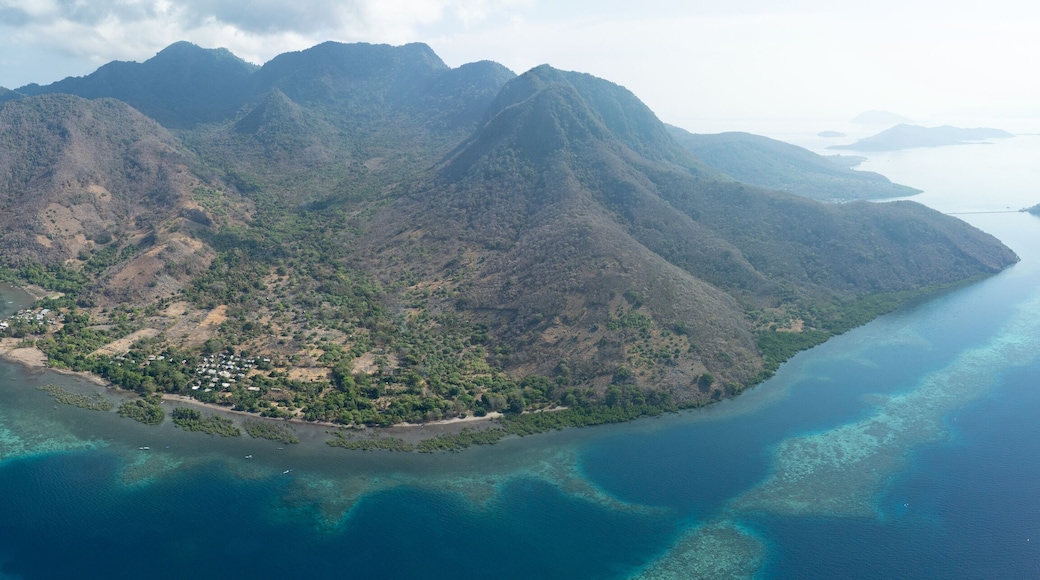 A beautiful and healthy coral reef surrounds a volcanic island off the coast of Flores, Indonesia. This area, in the Lesser Sunda Islands, is known for its high marine biodiversity.