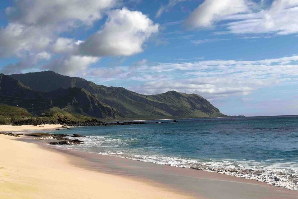 A beach with a mountain in the background.