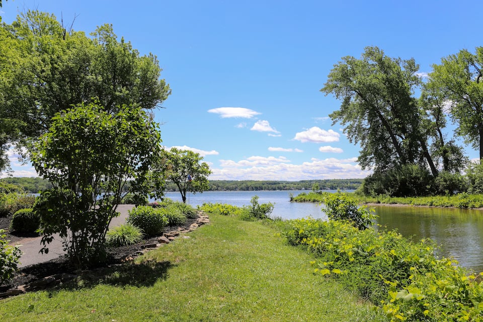 A lake surrounded by lush greenery and trees.