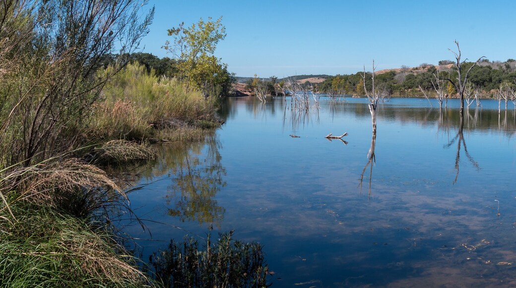 Panoramic View of Large Lake with Grass on the Shore