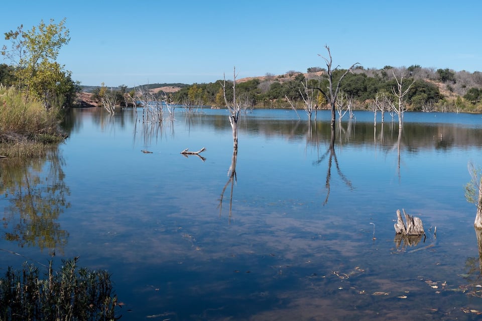 A calm lake surrounded by trees and vegetation.