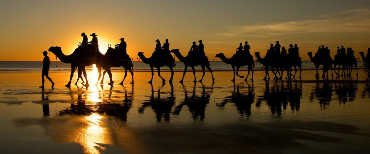Cable Beach showing land animals, a sunset and landscape views
