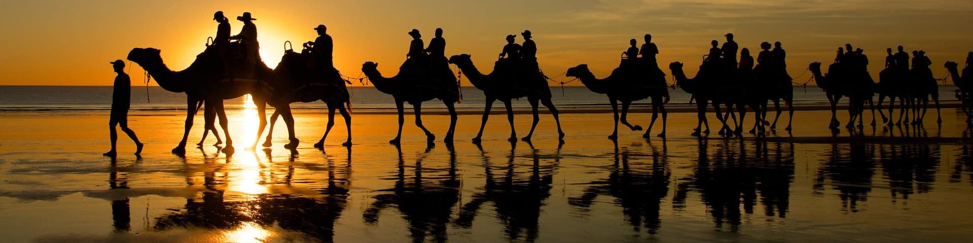 Cable Beach showing land animals, a sunset and landscape views