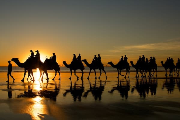 Cable Beach showing land animals, a sunset and landscape views