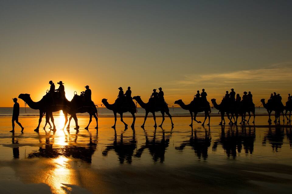 Silhouettes of people riding camels on a beach at sunset.